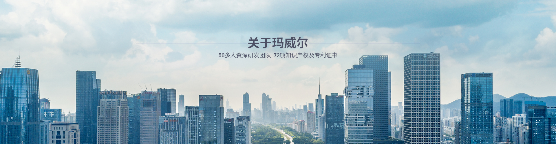 公司介绍